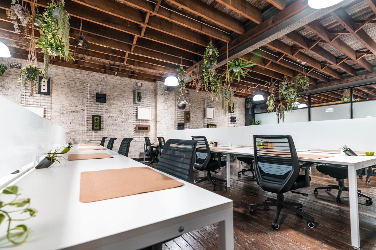 Seed Workspaces - coworking community in Glebe, Syndey